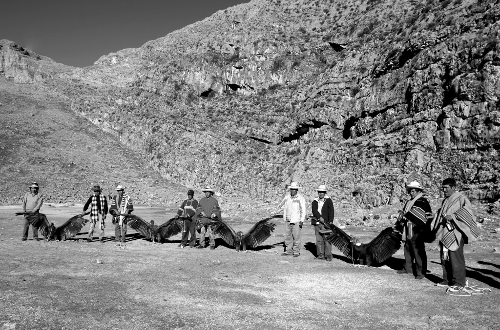 Cecilia Larrabure.  "Turupukllay". Fotografía donde presentan condores Puna Cazaa.