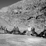 Cecilia Larrabure.  «Turupukllay». Fotografía donde presentan condores Puna Cazaa.