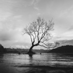 Poemas de Jorge Guillen