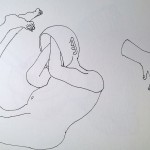 WP_20181219_17_24_31_Pro