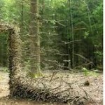 Cornelia Onrad. «Espacio público en movimiento»