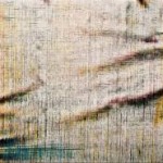 Antigesto (rizomas)