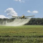 FUMIGACIÓN CON GLIFOSATO