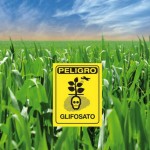 Glifosato-1