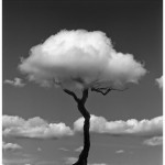 Chema Madoz