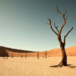 «Plaza de las palabras.» NAMIBIA-DESERT