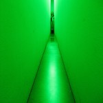 lily3 ntervención lumínica Gugenheim