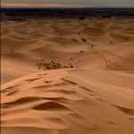 IMG_E0265