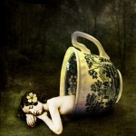 076afab08d15a48ab34d9729c8dbb75d