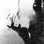 24cb20c76d5f0c826361af513fff37d1  El mundo es un espejo