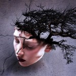 66584533_23843550567040594_3250871531005280256_n.png – copia