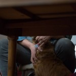 Benjamín Ávila. Fotografía: Diego Grispo.