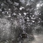 Chiharu Shiota..