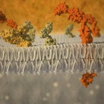 mederos11, ipresión artística de una membrana plasmática14911331943_920356f10d_b