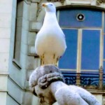 Cabeza loca 2 – Viviana Garcia Arribas