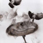 Steven Spazuk. «Las tetas y los platillos».