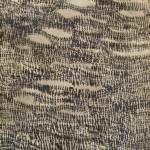 Agamenón5, Los-Adelantados-III Andrés Waissman