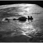 Ensenada oscura, Adriana Lestido