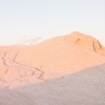 Rough & Cut, Abigail Varney