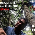 Victor 2 copia