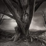 12742107_448097632048402_7850264911939575374_n