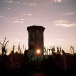 WhatsApp Image 2020-08-03 at 21.39.36