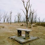 WhatsApp Image 2020-09-01 at 12.23.52