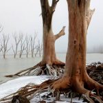 WhatsApp Image 2020-09-15 at 06.51.28