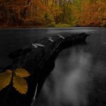 WhatsApp Image 2020-09-16 at 16.44.02