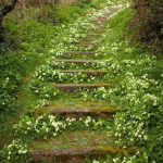 166058566_3792714204131005_2287577958061565567_n