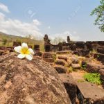 Iván 11 Flores blancas-en-la-roca-detrás-de-las-ruinas-del-sitio-arqueológico-y-se-desdibuja-loas
