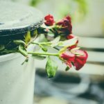 Iván 4enedor-basura-rompen-mi-corazon-arrojaron-amor-dia-san-valentin_73523-3218