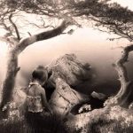 WhatsApp Image 2021-04-12 at 16.40.27 (1)