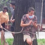 urquiza_portada_1.webp_1956802537