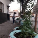 186532558_1154735805003253_1283808907982149807_n