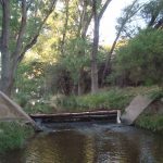 200853468_934478650678641_225122252782965043_n