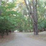 201152451_320743329533702_879560779535903014_n