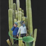 Telaraña. Ana Luz Chieffo. Collage analógico – copia