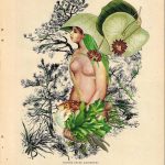 Y fue ninfa. Ana Luz Chieffo. Collage analógico – copia – copia