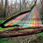 lijalad SEbastien Preschoux