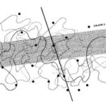 gamerro9 John Cage, fontana mix, Frank Spigner