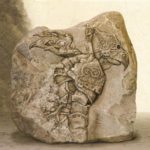 nettel7 Ciruelo, petropictos – copia