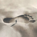 istockphoto-1449294370-612×612