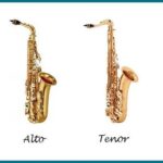 351d2511-7969-49f2-baa5-0d81e9af07b0 (1) – copia – copia